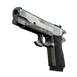 Handgun Paldeck Entry