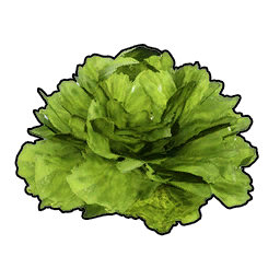 Lettuce Palworld Item